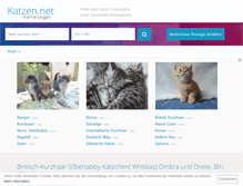 Tablet Screenshot of katzen-kleinanzeigen.net